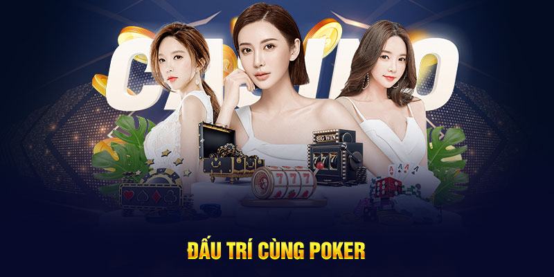 Đấu trí cùng Poker