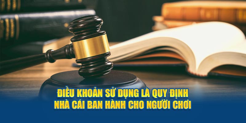 Điều khoản sử dụng là quy định đơn vị ban hành cho người chơi