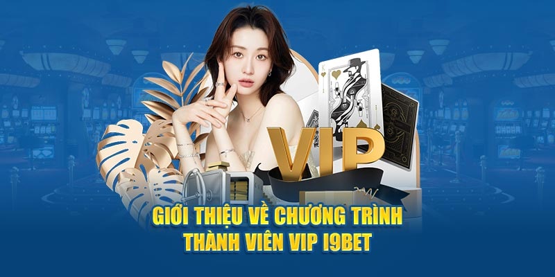 Chương trình VIP I9BET cho hội viên trung thành là gì?